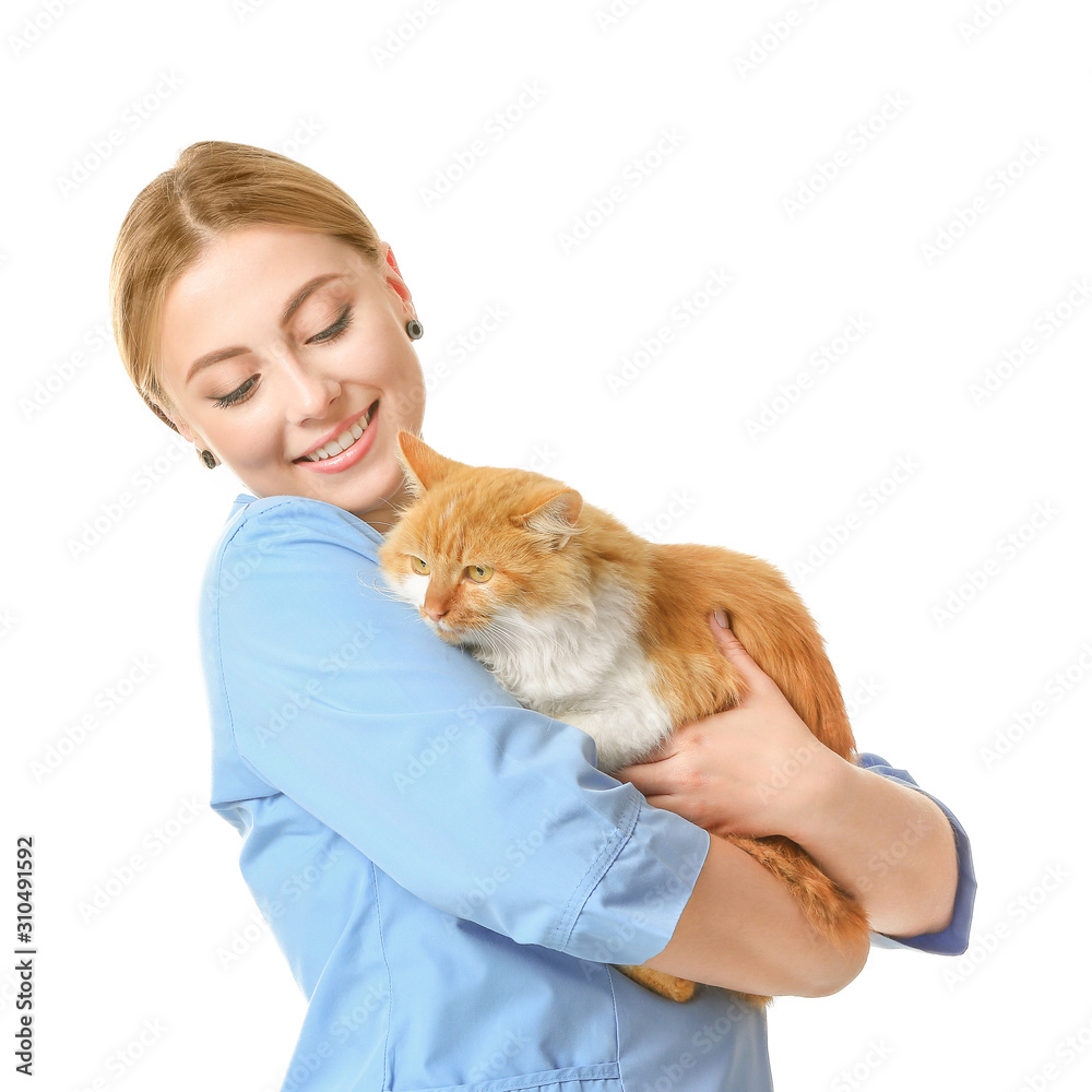 Female veterinarian with cute cat on white background