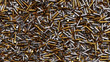 Pile of Many Different Types of Bullets and Bullet Cases
