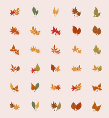 Sticker - Isolated set of autumn leaves vector design