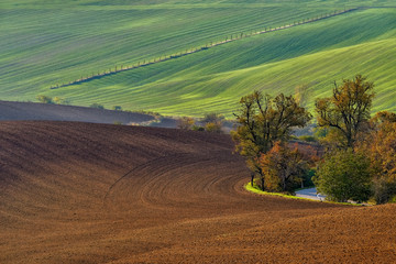 Wall Mural - Moravian fields, Moravia, Czech Republic, around the village Kyjov