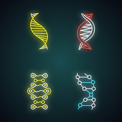 Sticker - DNA strands neon light icons set. Deoxyribonucleic, nucleic acid helix. Spiraling strands. Chromosome. Molecular biology. Genetic code. Genetics. Medicine. Glowing signs. Vector isolated illustrations