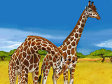 Fototapeta Zwierzęta - cartoon safari scene with giraffes family eating on the meadow - illustration for children