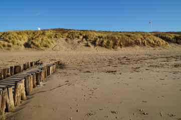 sand dunes along the Dutch North sea coast