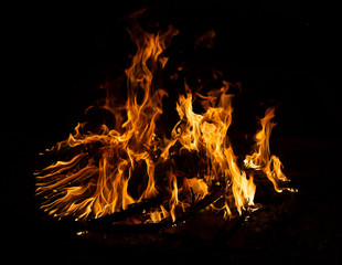 Fire flame caused by burning of wood on a black background