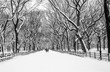 © MISHELLA - Fairy winter park in a fabulous city..Central Park - New York City during a snowstorm