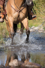 Western Creek Crossing