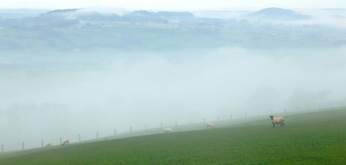 Wall Mural - Foggy morning in Axe Valley, East Devon seen from Musbury Hill