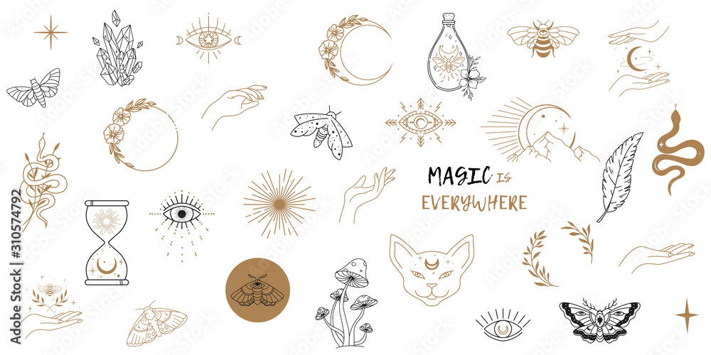 Vector witch magic design elements set. Hand drawn, doodle, sketch magician collection. Witchcraft symbols. Perfect for tattoo, textile, cards, mystery - obrazy, fototapety, plakaty 