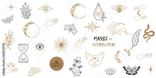 Fotografía Vector witch magic design elements set