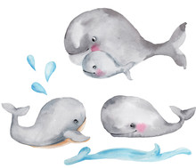 Set Cute Cartoon Whales; Watercolor Hand Draw Illustration; With White Isolated Background