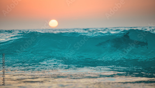 Sunset ocean wave with shark in it, tropical surfing sea background Tableau sur Toile