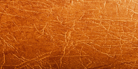 Poster - brown genuine leather. template for design