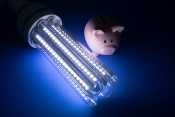 Led light bulb and piggy bank on blue background. Save money for electric power using led light concept.