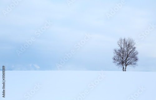 北海道の冬景色 Buy This Stock Photo And Explore Similar Images At Adobe Stock Adobe Stock