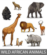 Set Of Wild African Animals In Cartoon Style. Educational Zoology Illustration, Coloring Book Picture.