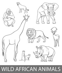 Wall Mural - Set of wild african animals illustrations in lines. Educational zoology illustration, coloring book picture.