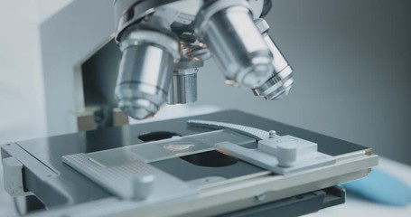 Wall Mural - close up shot of the scientist studies examining of test sample under the microscope in laboratory.