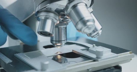 Wall Mural - close up shot of the scientist studies examining of test sample under the microscope in laboratory.