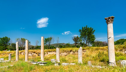 Canvas Print - Ruins of Aphrodisias in Turkey