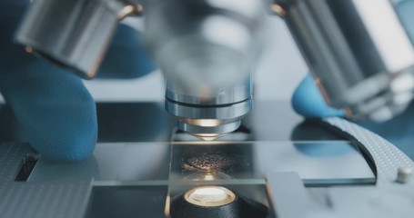 Wall Mural - close up shot of the scientist studies examining of test sample under the microscope in laboratory.