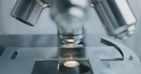 Wall Mural - close up shot of the scientist studies examining of test sample under the microscope in laboratory.