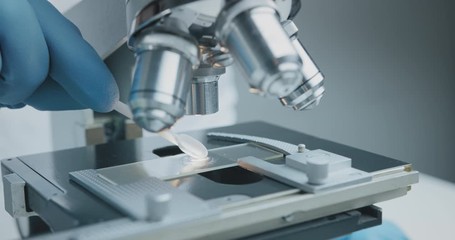 Wall Mural - close up shot of the scientist studies examining of test sample under the microscope in laboratory.