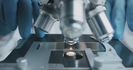 Wall Mural - close up shot of the scientist studies examining of test sample under the microscope in laboratory.