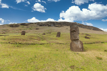 Wall Mural - Easter island