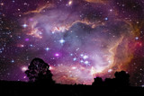 Fototapeta Kosmos - nebula and galaxy on space back on silhouette coconut tree and night sky