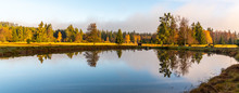Trees Reflected In The Pond. Kladska Peat Bog National Reserve Near Marianske Lazne, Czech Republic