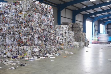 piles of paperwaste at recycling plant