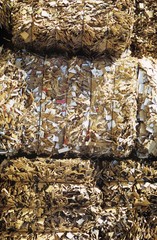 Wall Mural - Compacted Piles Of Paperwaste