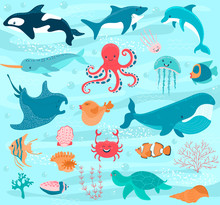 Sea Animals Vector Cartoon Ocean Characters Crab, Funny Octopus And Whale Underwater Illustration Marine Set. Cute Fishes Stingray, Happy Jellyfish And Dolphin Seabed With Shells Corals