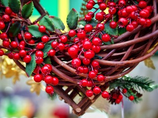 Wall Mural - Decorative Red Berries 