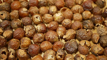 Soap Nuts Indian Soapberry Or Washnut, Sapindus Mukorossi Reetha Or Ritha From The Soap Tree Shells Are Used To Wash Clothes To Put In Drum Washing Machines. Nuts Contain Saponin Plant Fruit Seeds