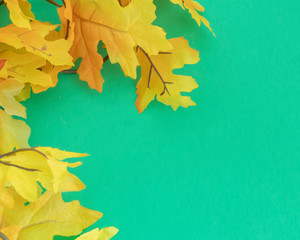 Autumn foliage on a green background  with orange and yellow leaves.