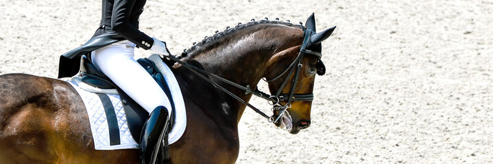 Dressage horse and rider in black uniform. Horizontal banner for website header design. Equestrian sport competition, copy space.