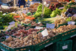 Obst- und Gemüsestand mit frischen Waren aus der Region und Preisschildern in deutscher Sprache