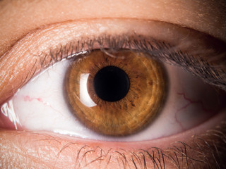 close up of human eye pupil