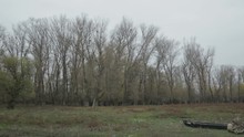 An Abandoned Boat On Leafless Forest Edge - Sliding From Right To Left