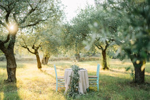 Table For Two Setup In A Olive Plantation Decorated With Olive Tree Branches
