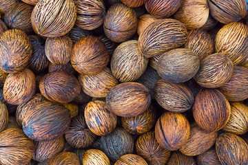 Pong pong seed close up texture. Cerbera odollam fruit. Othalanga - Suicide tree background. Pong pong seeds in Amsterdam flowers market
