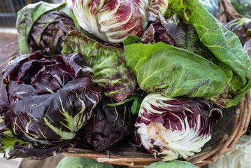 Wall Mural - Basket of green and purple radicchio at the market