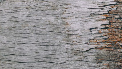 wood table background, texture, Nature background.