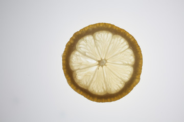 Wall Mural - slice of lemon on white background