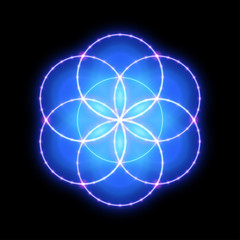 Wall Mural - Sacred geometry, seed of life. Vector art.