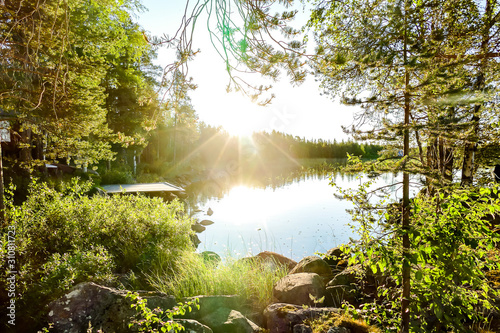 morning in forest, in Sweden Scandinavia North Europe