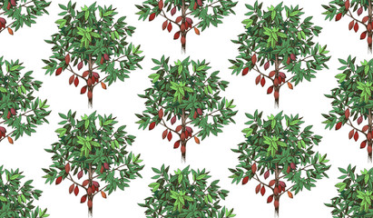 Seamless pattern with hand drawn cocoa trees