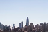 Fototapeta Zwierzęta - Skyline of San Francisco downtown at daytime