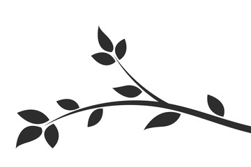 Wall Mural - silhouette of a branch with leaves. young flowering tree. sapling.